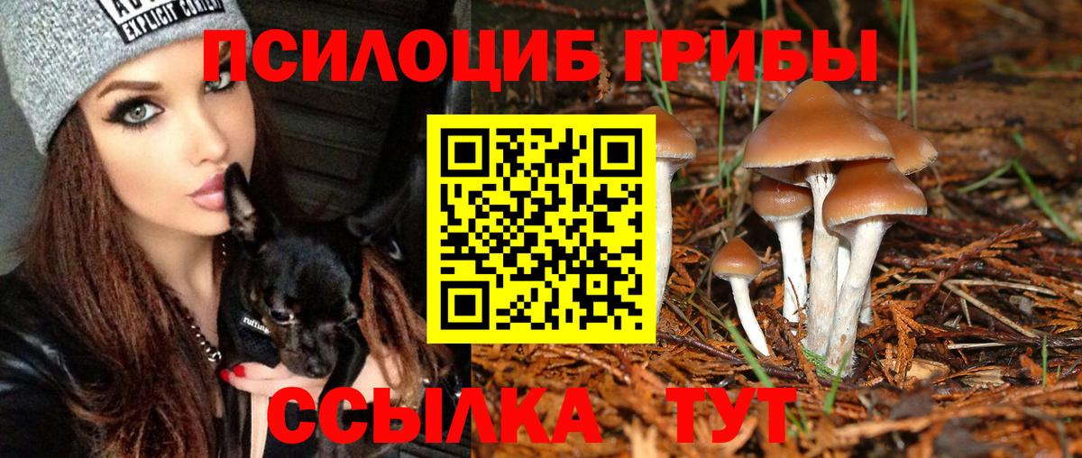 Галлюциногенные грибы мухоморы Фрязино